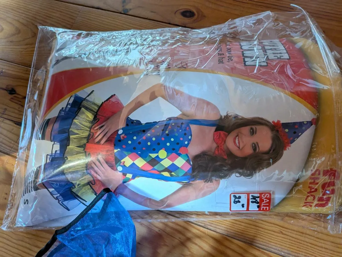 Halloween dress up costume - Image 2