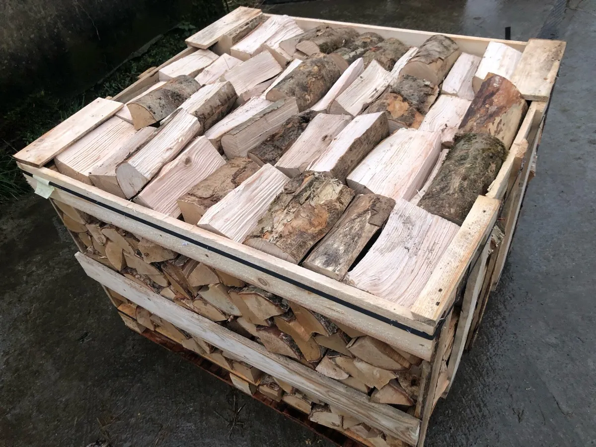 Kiln Dried Ash firewood 10% off - Image 1