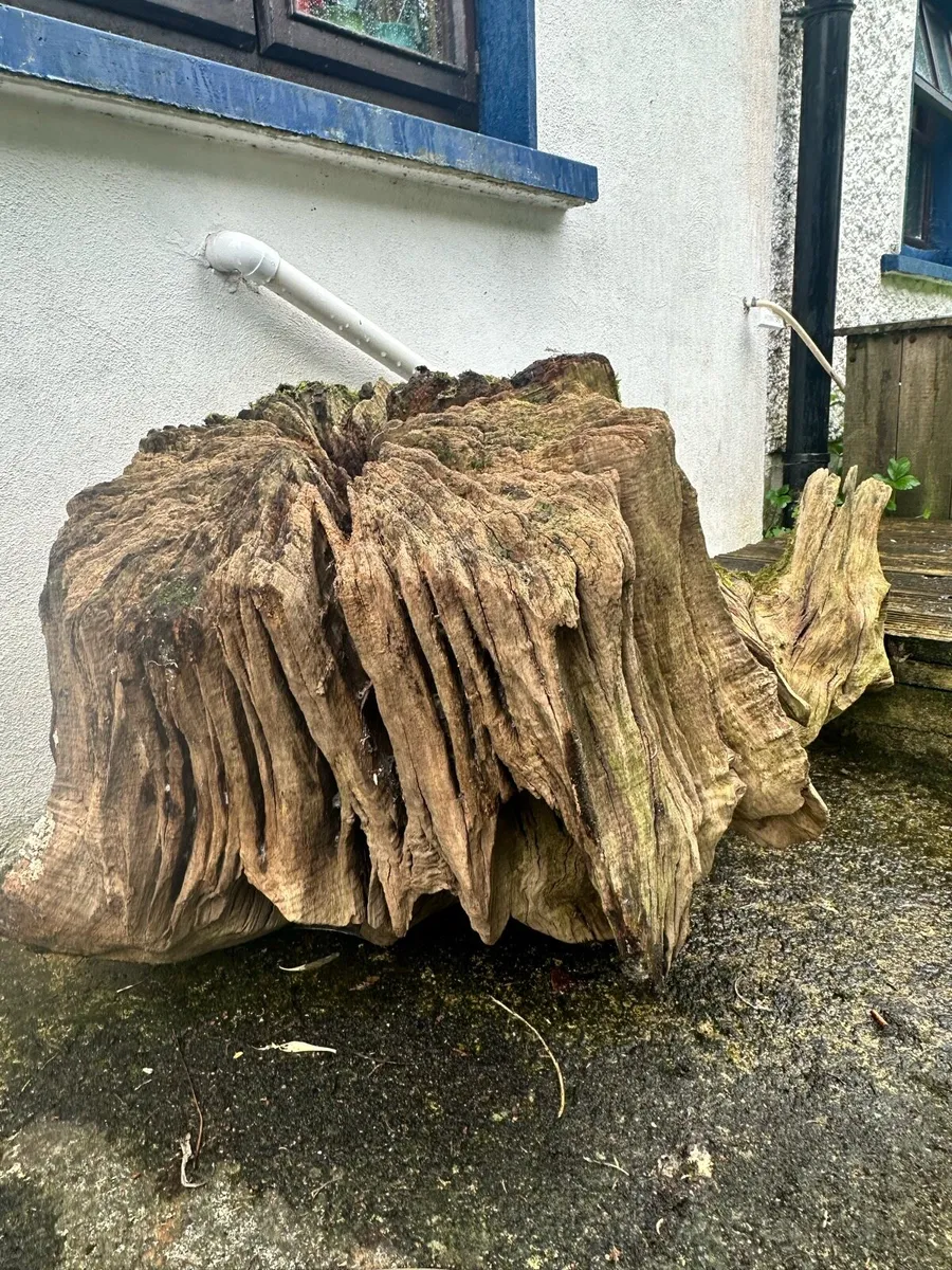 Garden ornament Tree root - Image 1