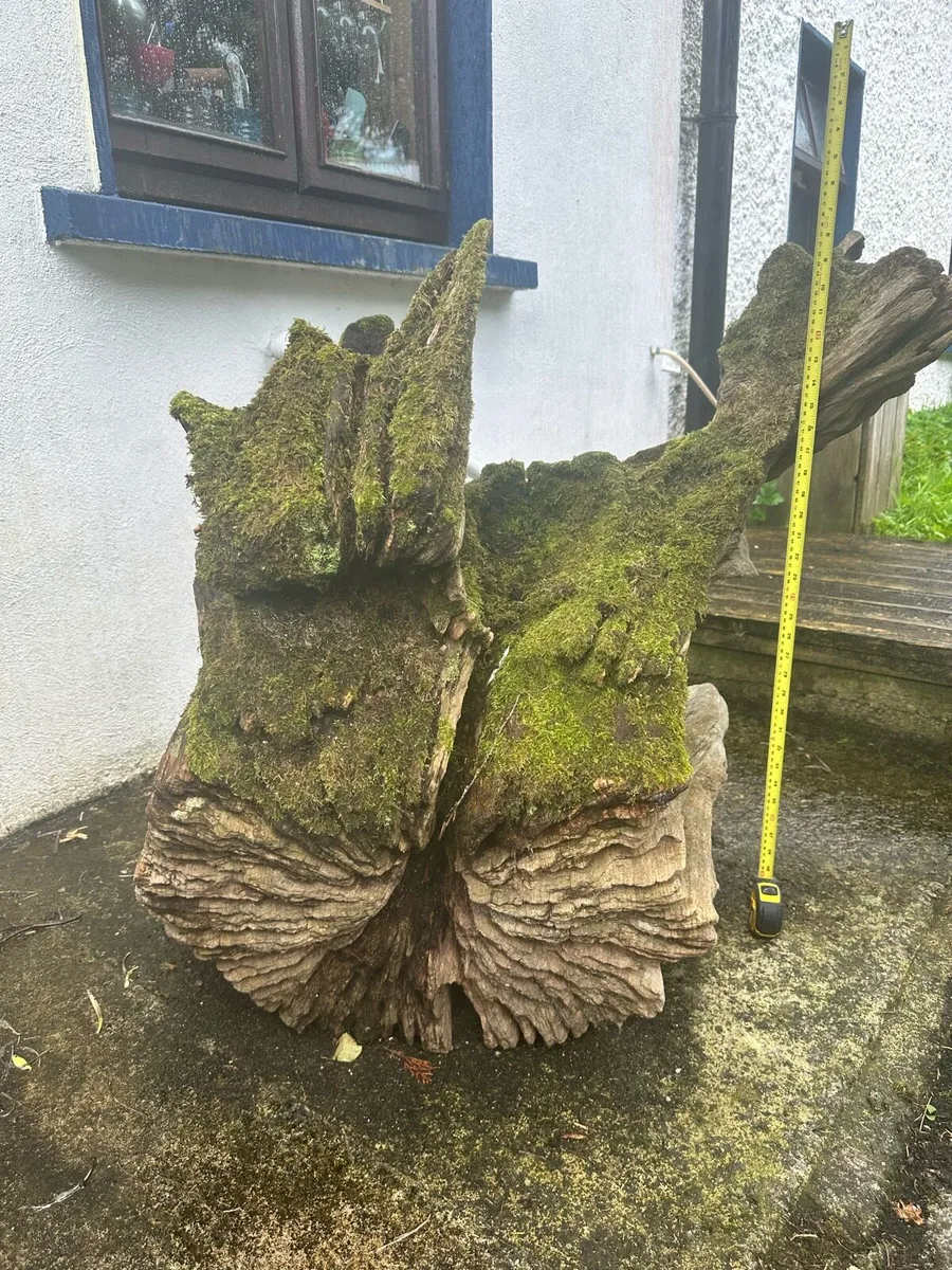 Garden ornament Tree root - Image 2