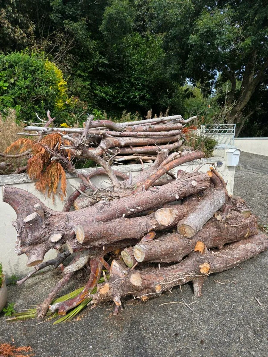 Free timber - Image 1