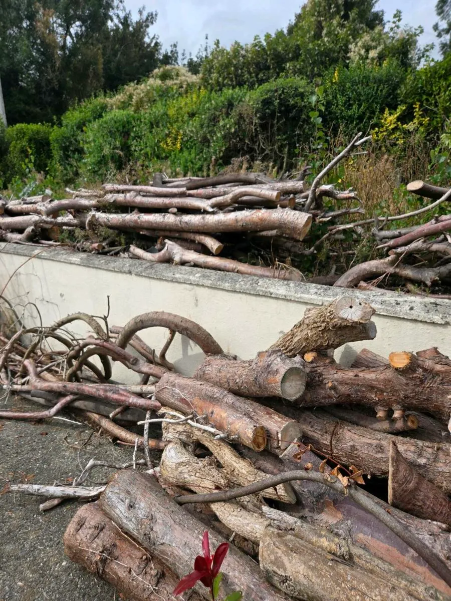 Free timber - Image 4