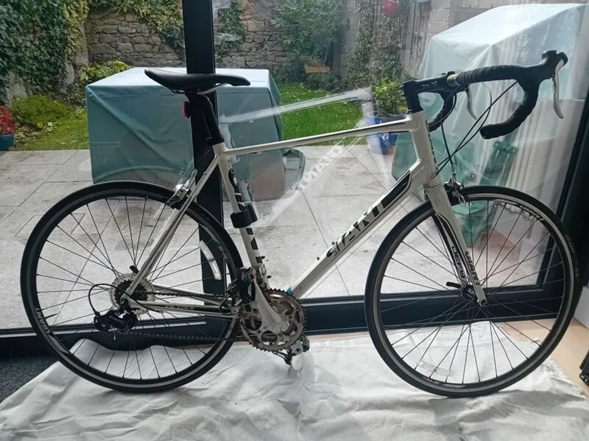 Giant Racing Bike - Image 1