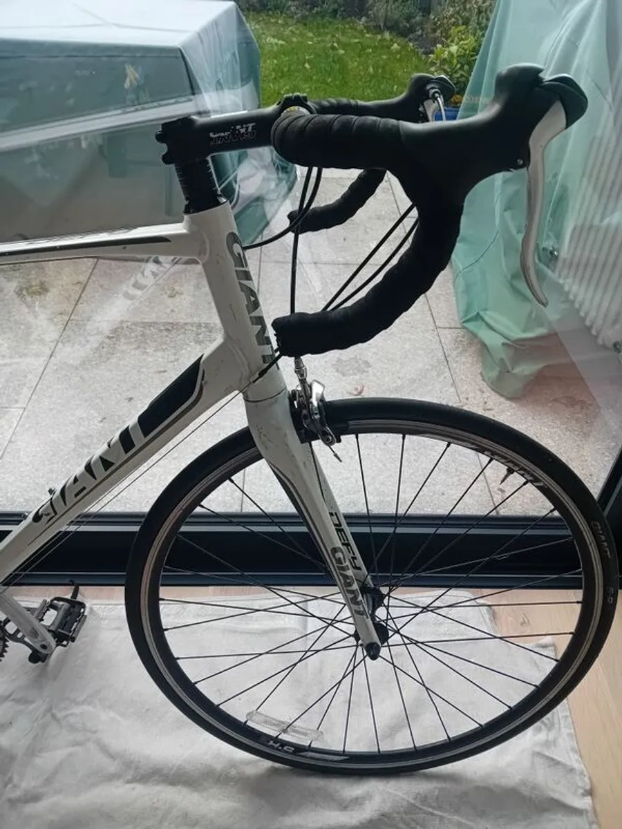 Giant Racing Bike - Image 2