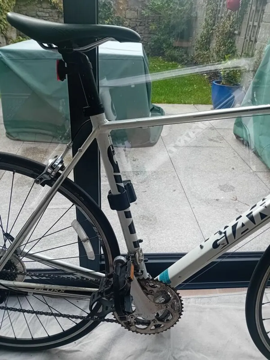Giant Racing Bike - Image 3