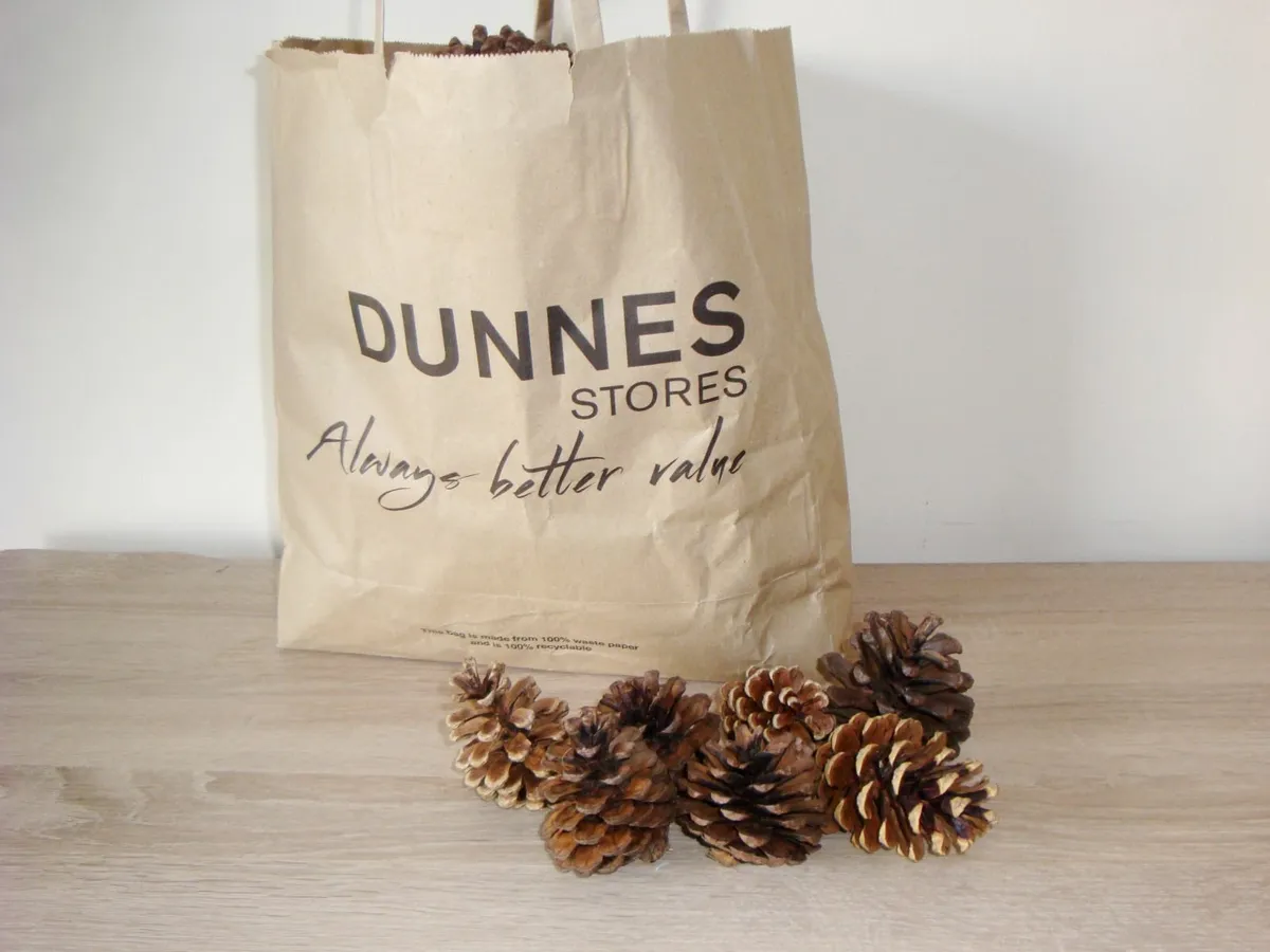 Bag of real pinecones - Image 1