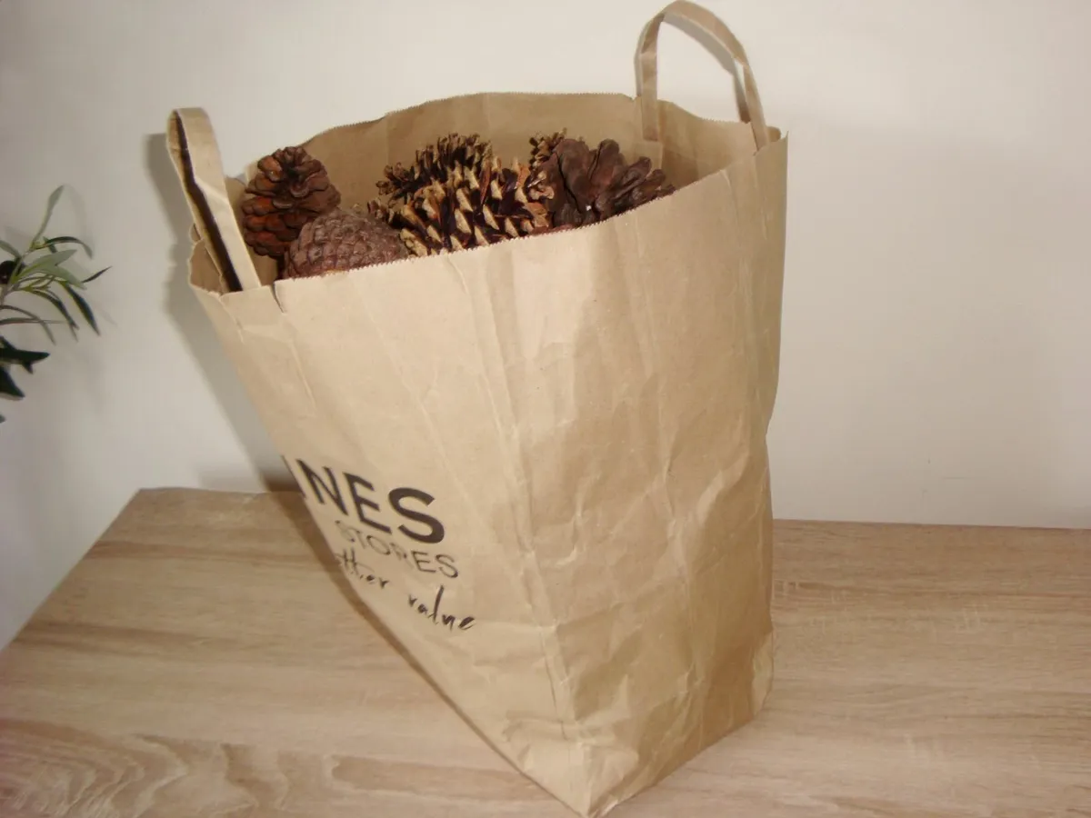 Bag of real pinecones - Image 3