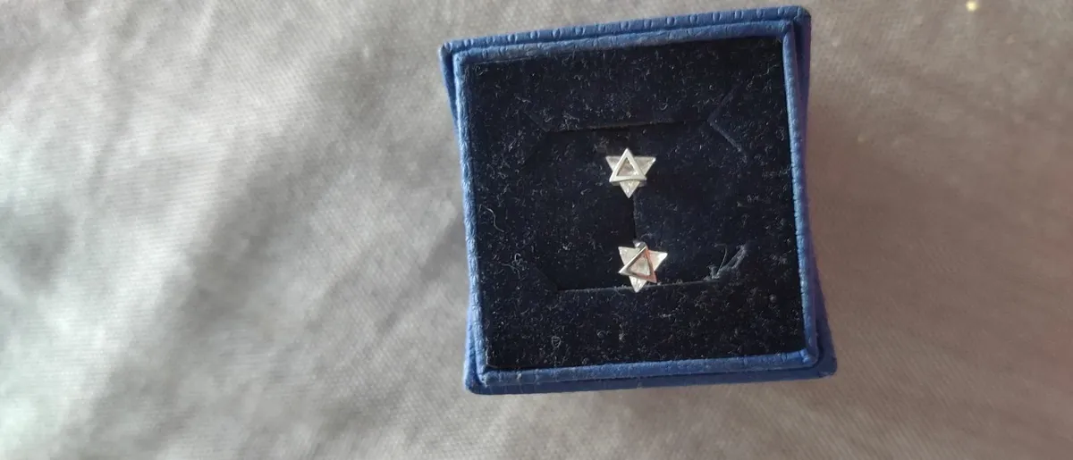 Sterling silver earrings never worn