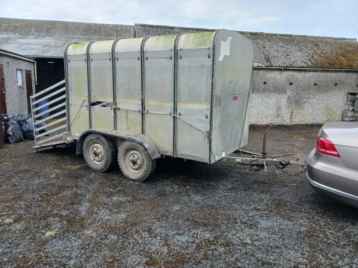 West Wood Ifor Williams  10 ft x 5 ft trailer - Image 2