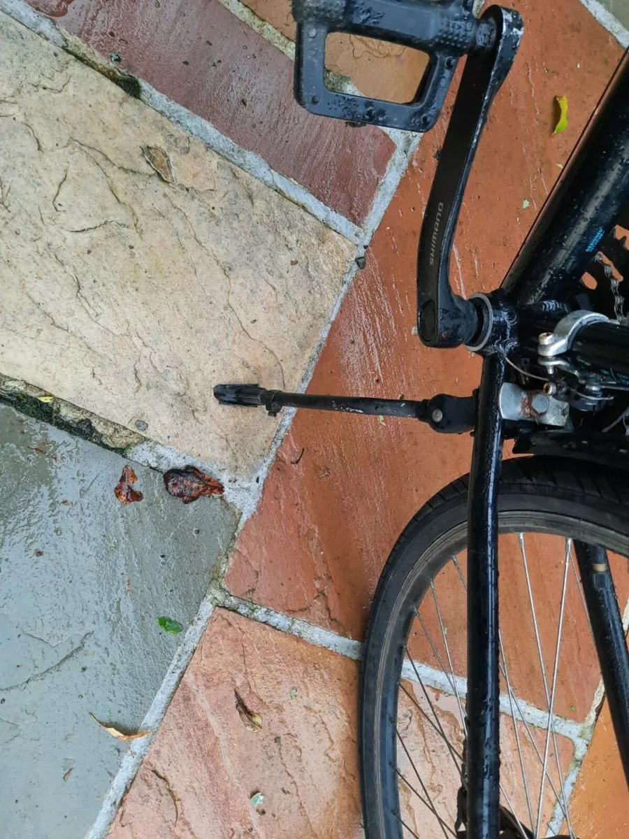 Ridgeback bicycle as new - Image 2