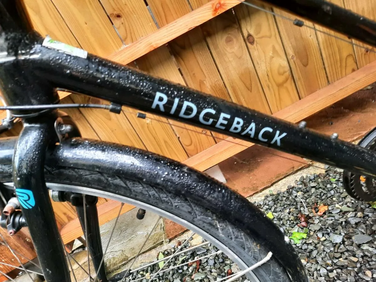 Ridgeback bicycle as new - Image 3