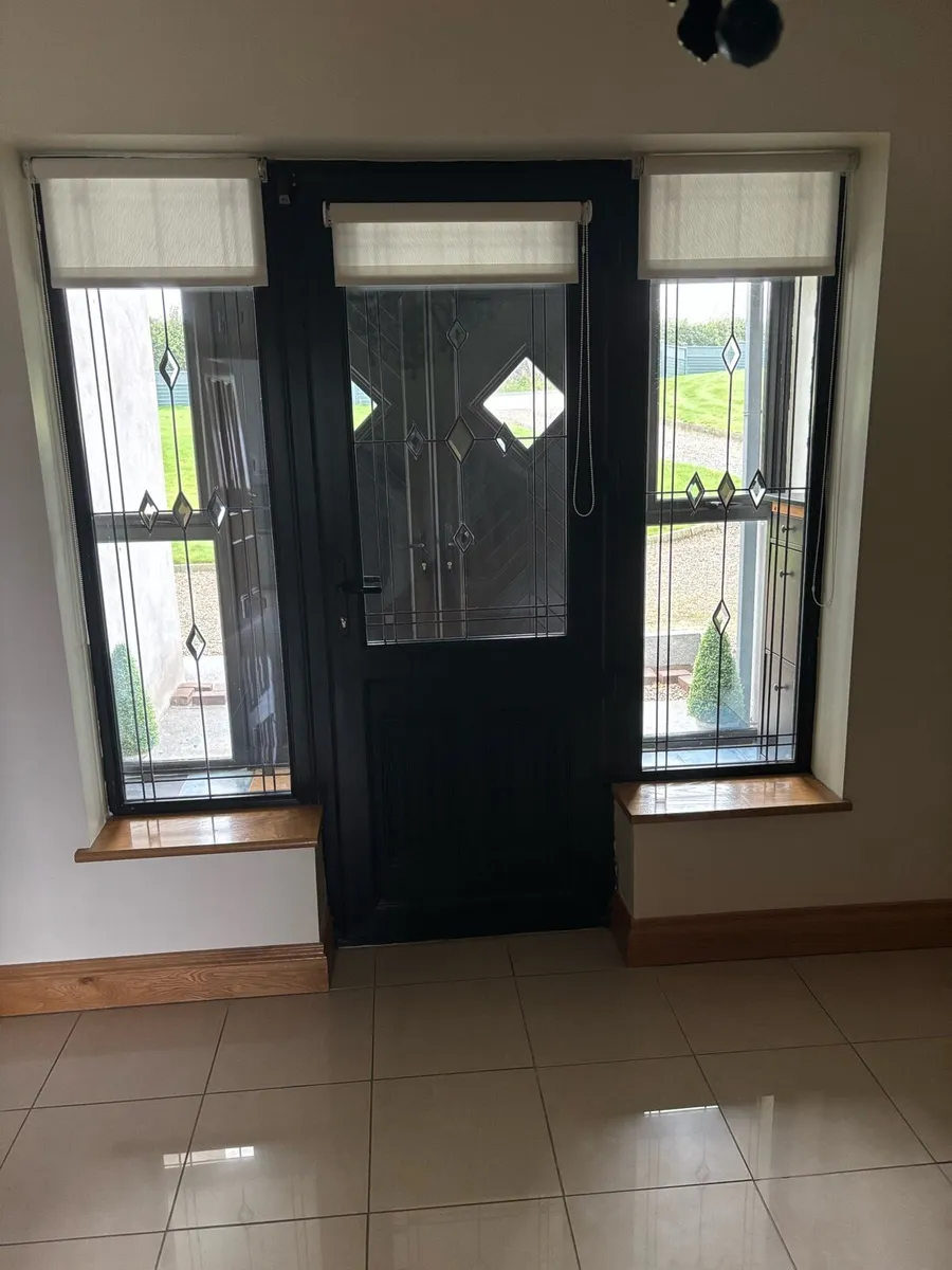 Front door and side panels plus glass - Image 1