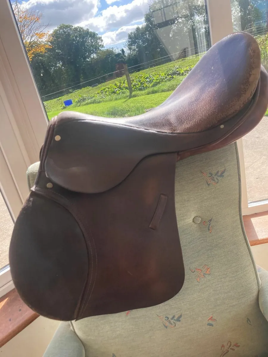 Saddle - Image 1