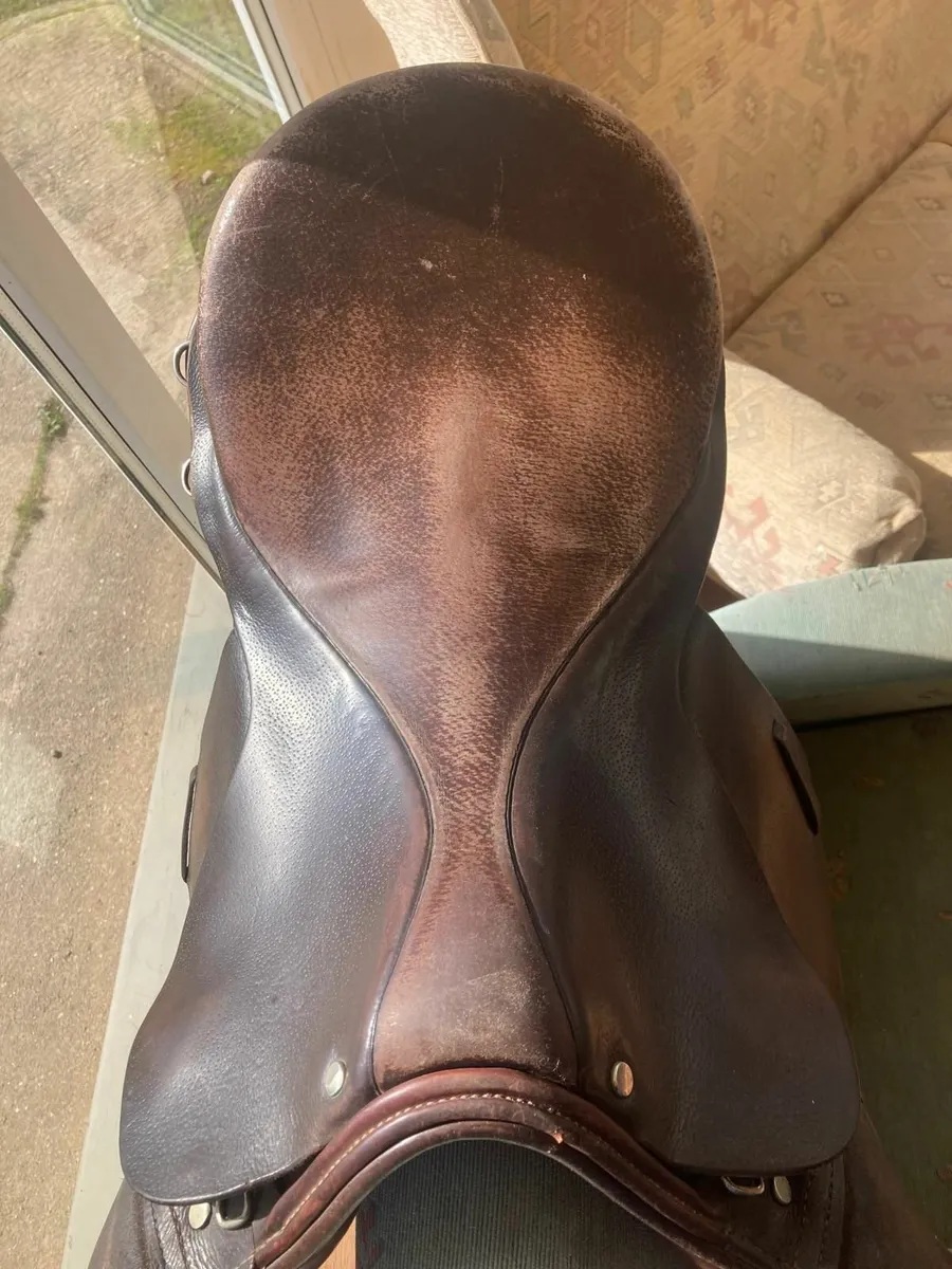 Saddle - Image 3