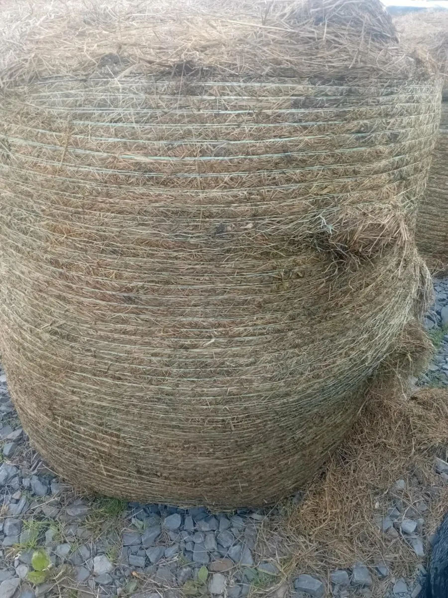 Silage/hay - Image 2