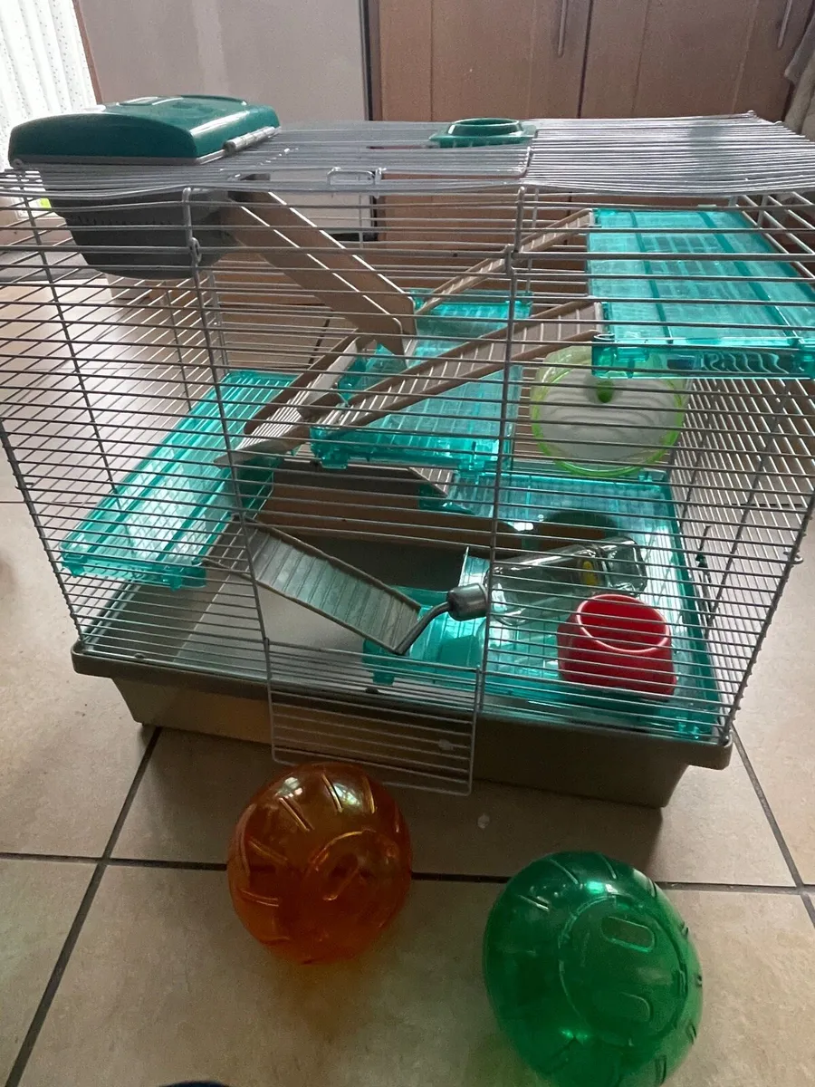 Hamster cage - Image 1