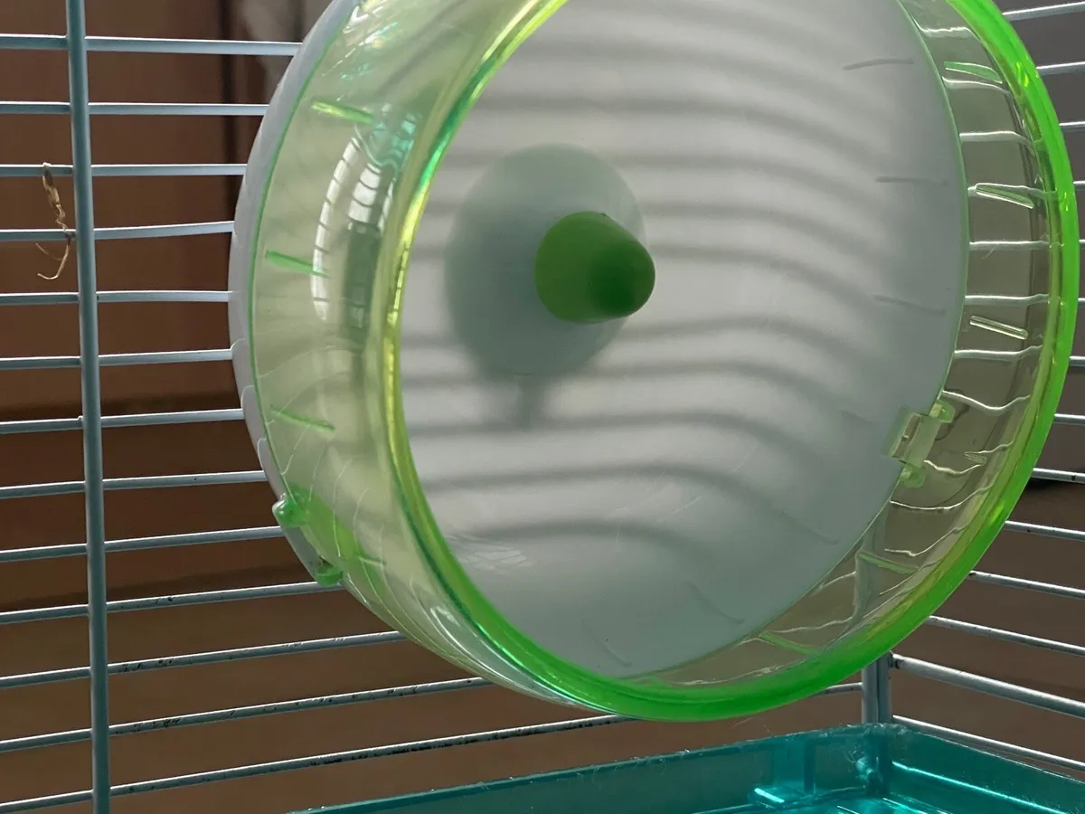 Hamster cage - Image 2