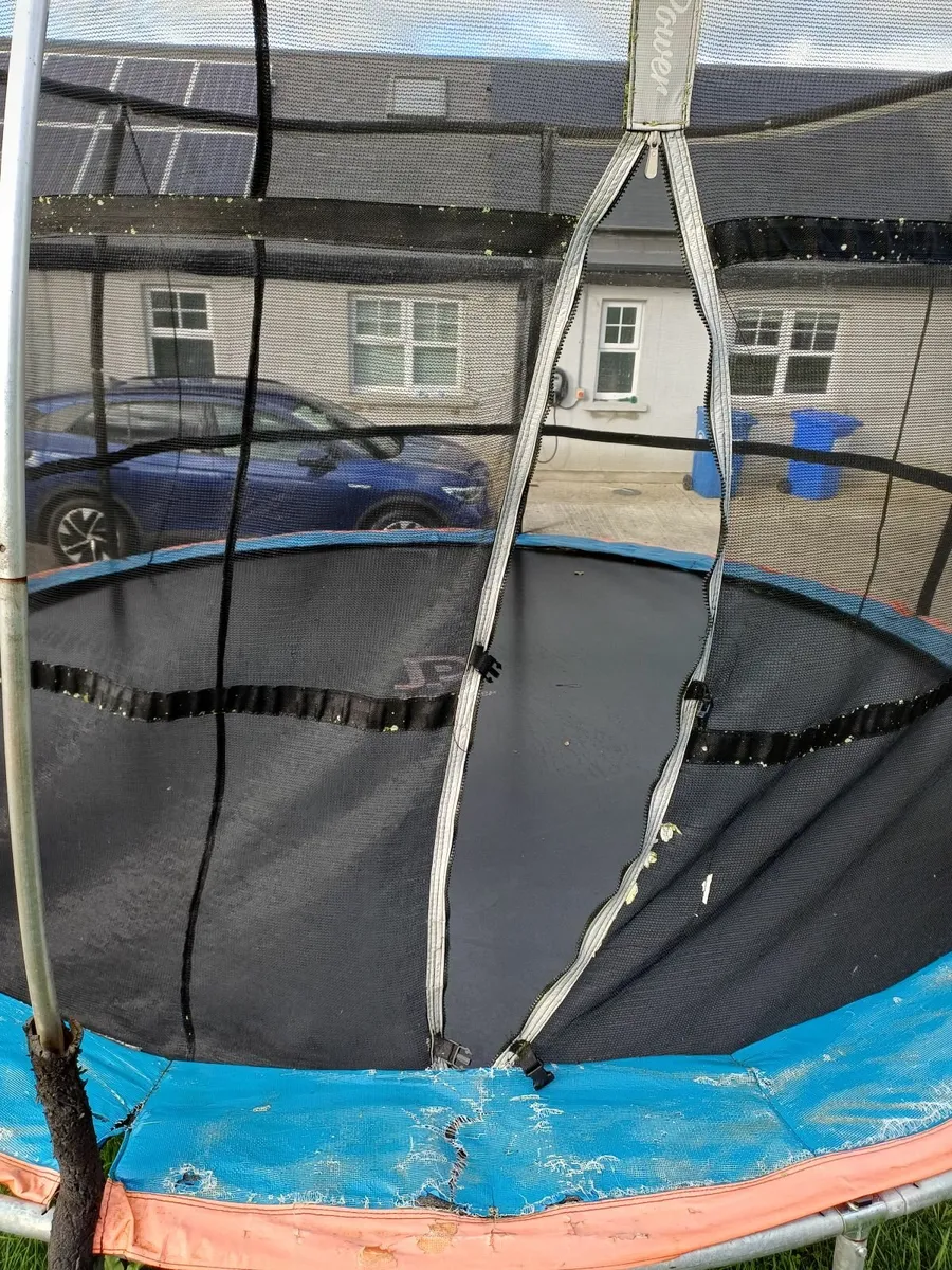 Trampoline - Image 4
