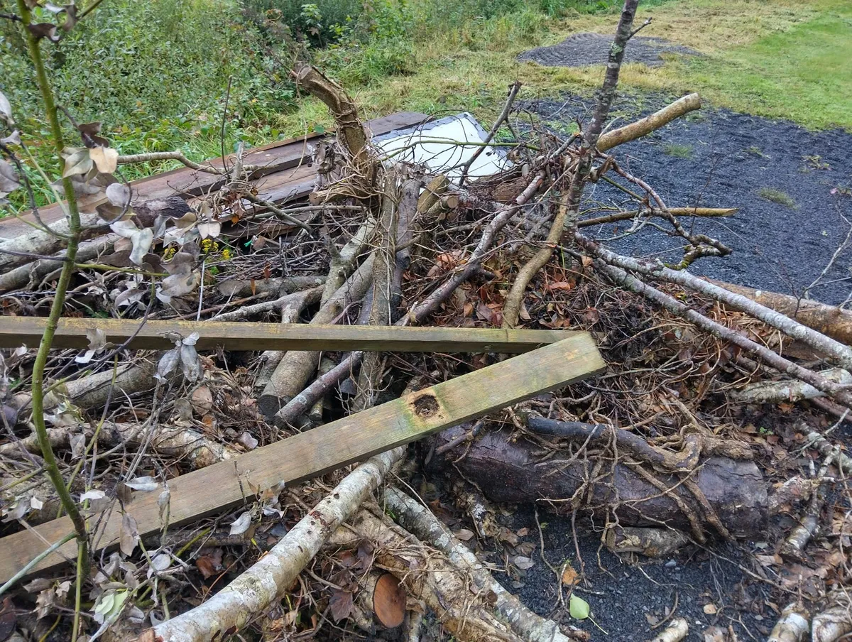 Firewood - Image 2