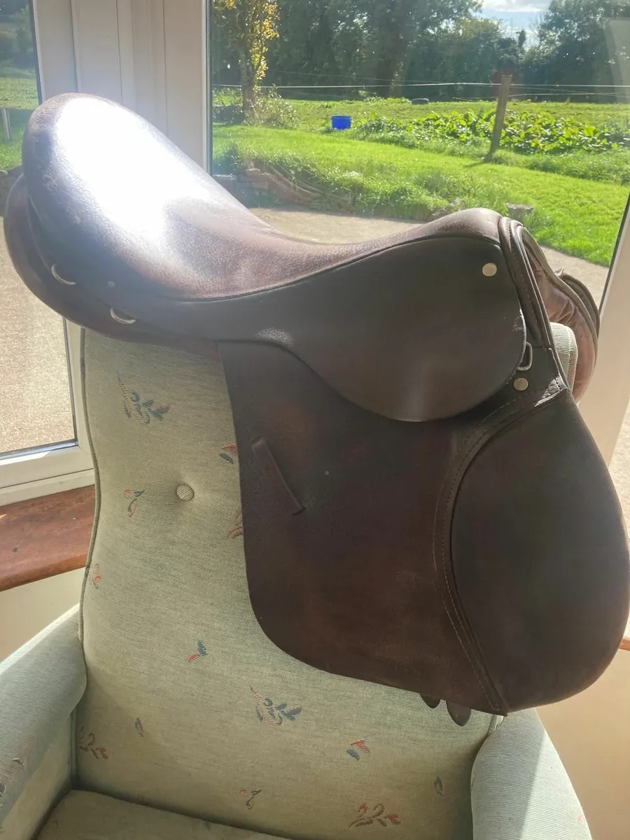 Saddle - Image 4