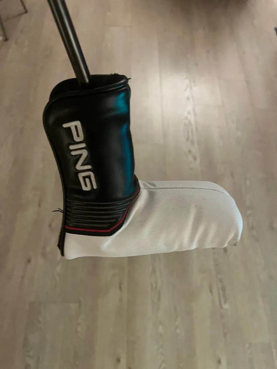 Ping Anser - Image 2