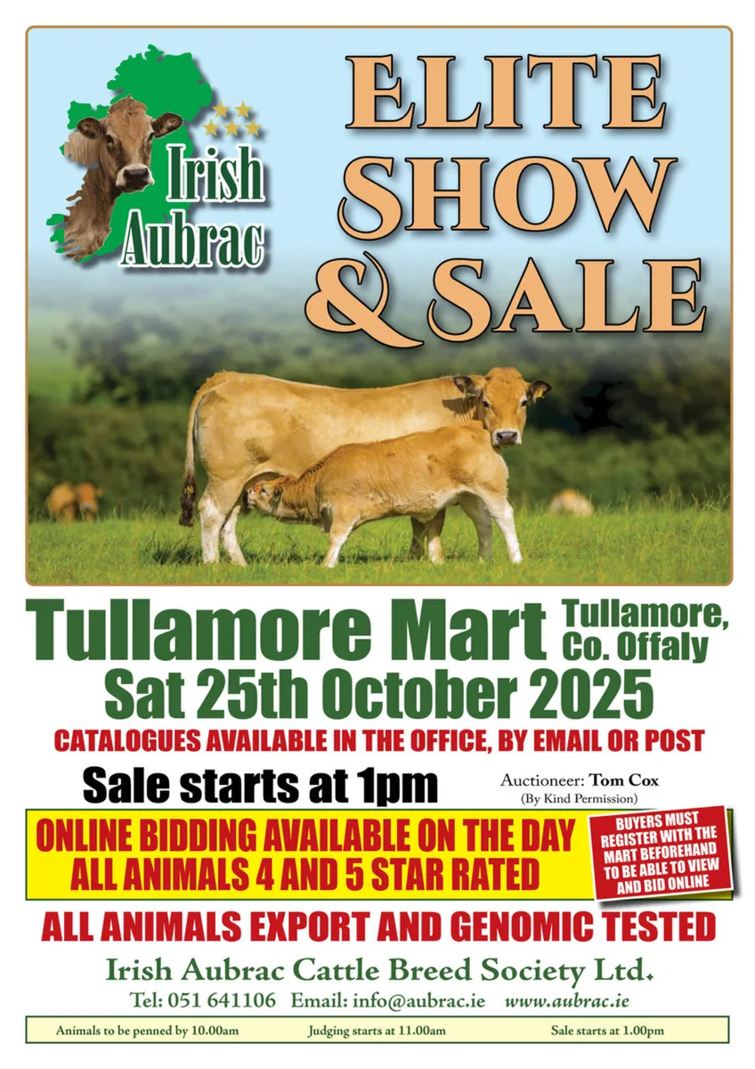 Irish Aubrac Cattle Society Elite Show and Sale - Image 1