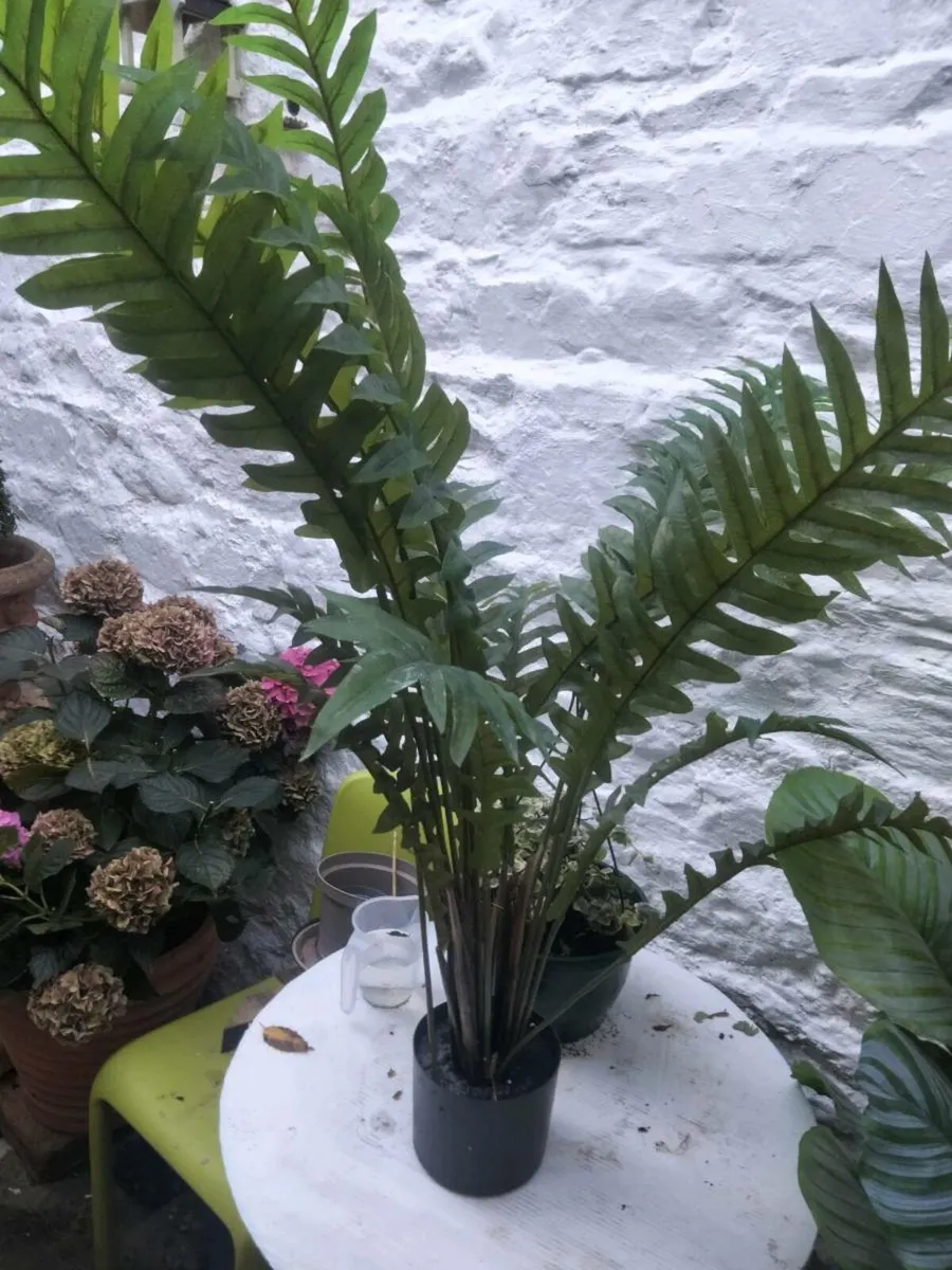 Artificial plants - Image 1