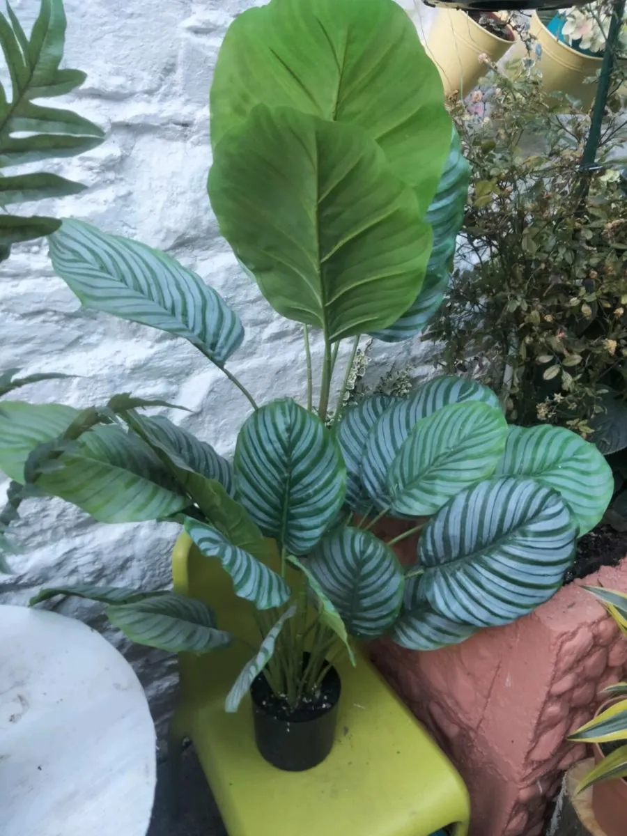 Artificial plants - Image 2