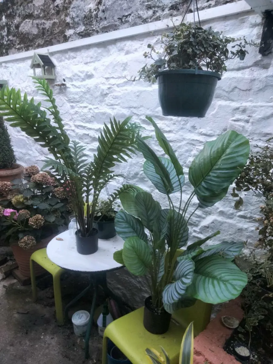 Artificial plants - Image 3