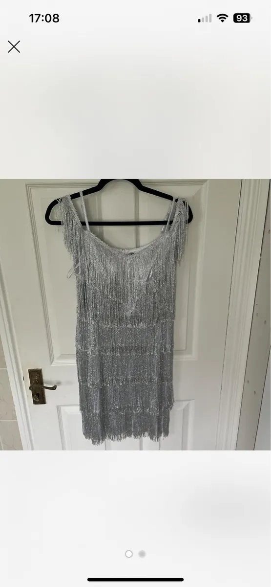Sparkly Fringe Dress - Image 1