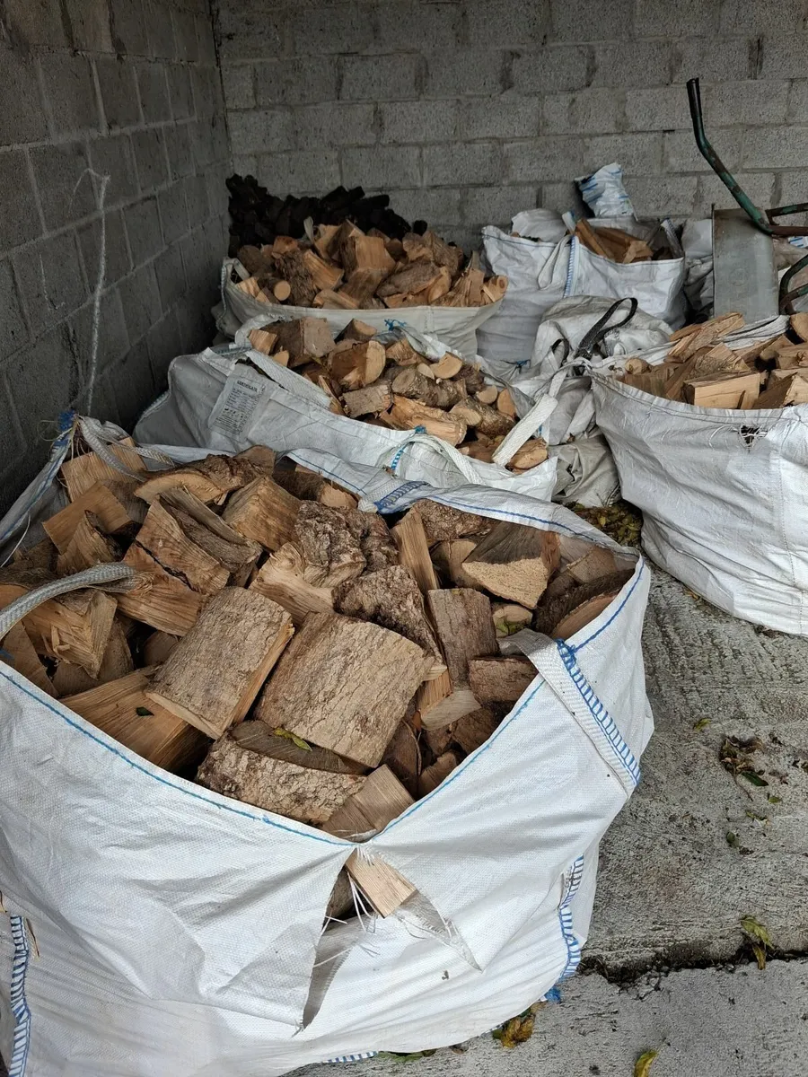 Fire wood - Image 1
