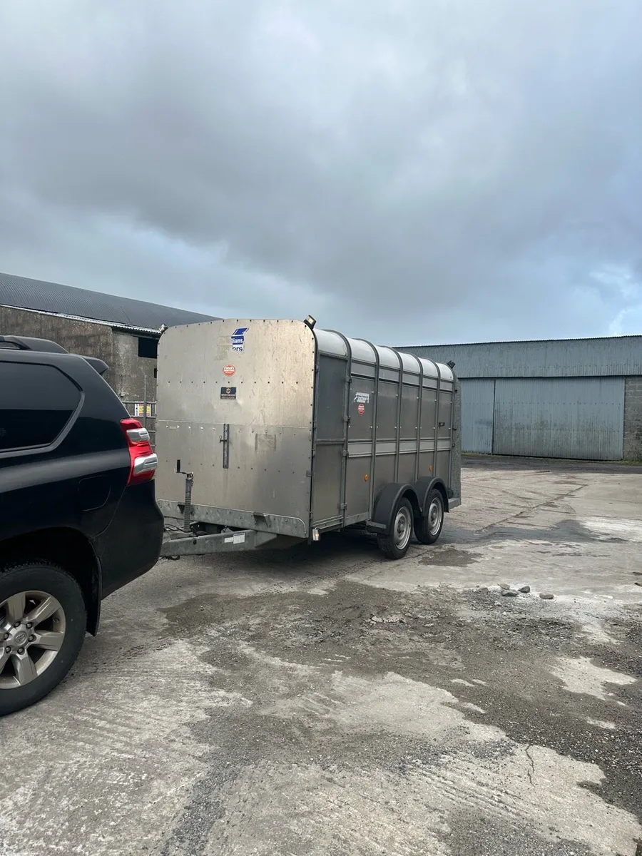 Ifor Williams cattle trailer - Image 1