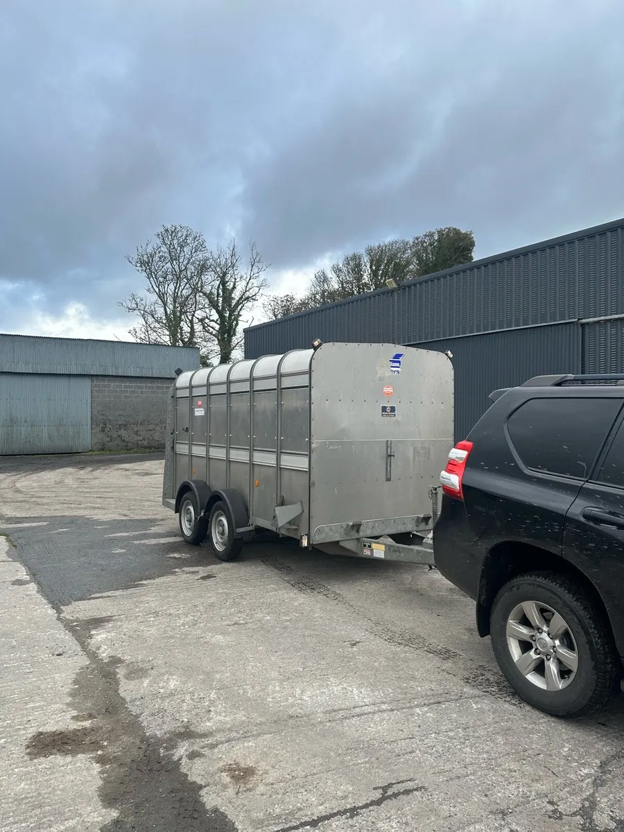 Ifor Williams cattle trailer - Image 2