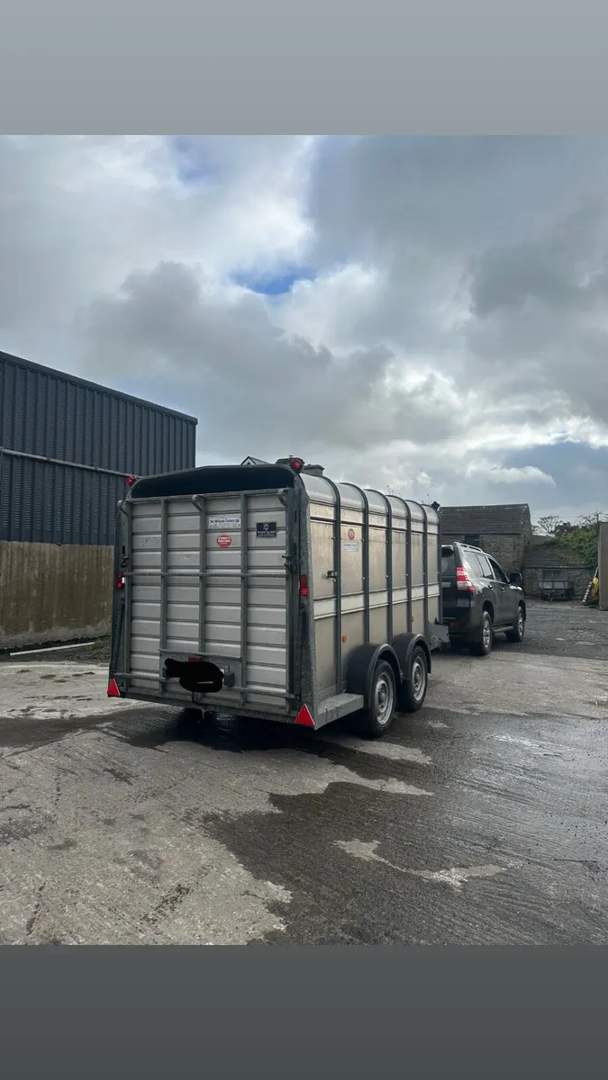 Ifor Williams cattle trailer - Image 3