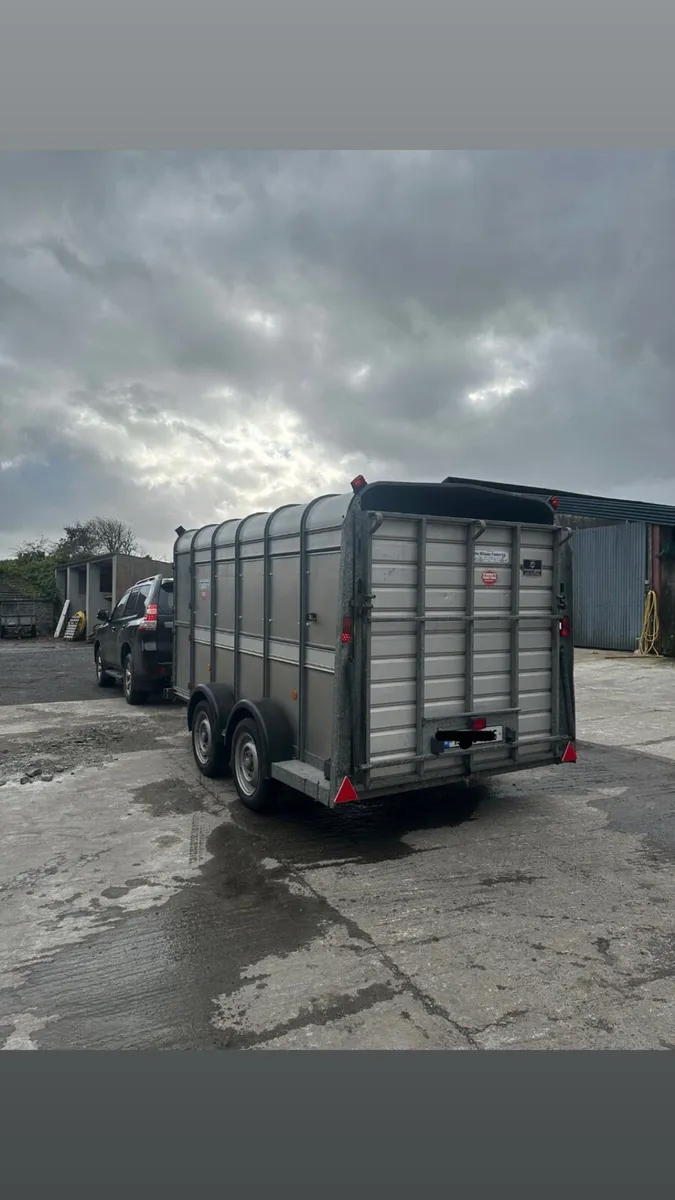 Ifor Williams cattle trailer - Image 4