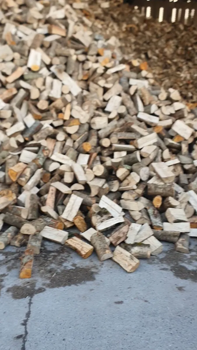 Firewood - Image 1