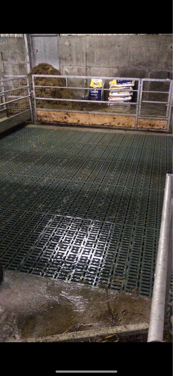 Plastic Sheep slats - Image 1