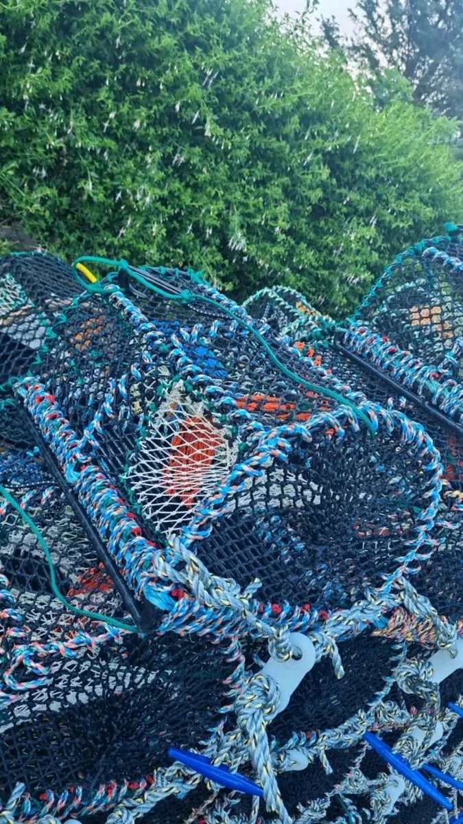 Velvet/ greencrab pots - Image 1