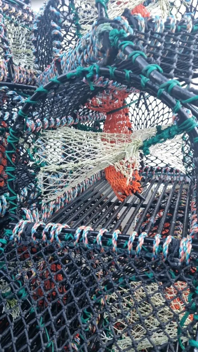 Velvet/ greencrab pots - Image 2