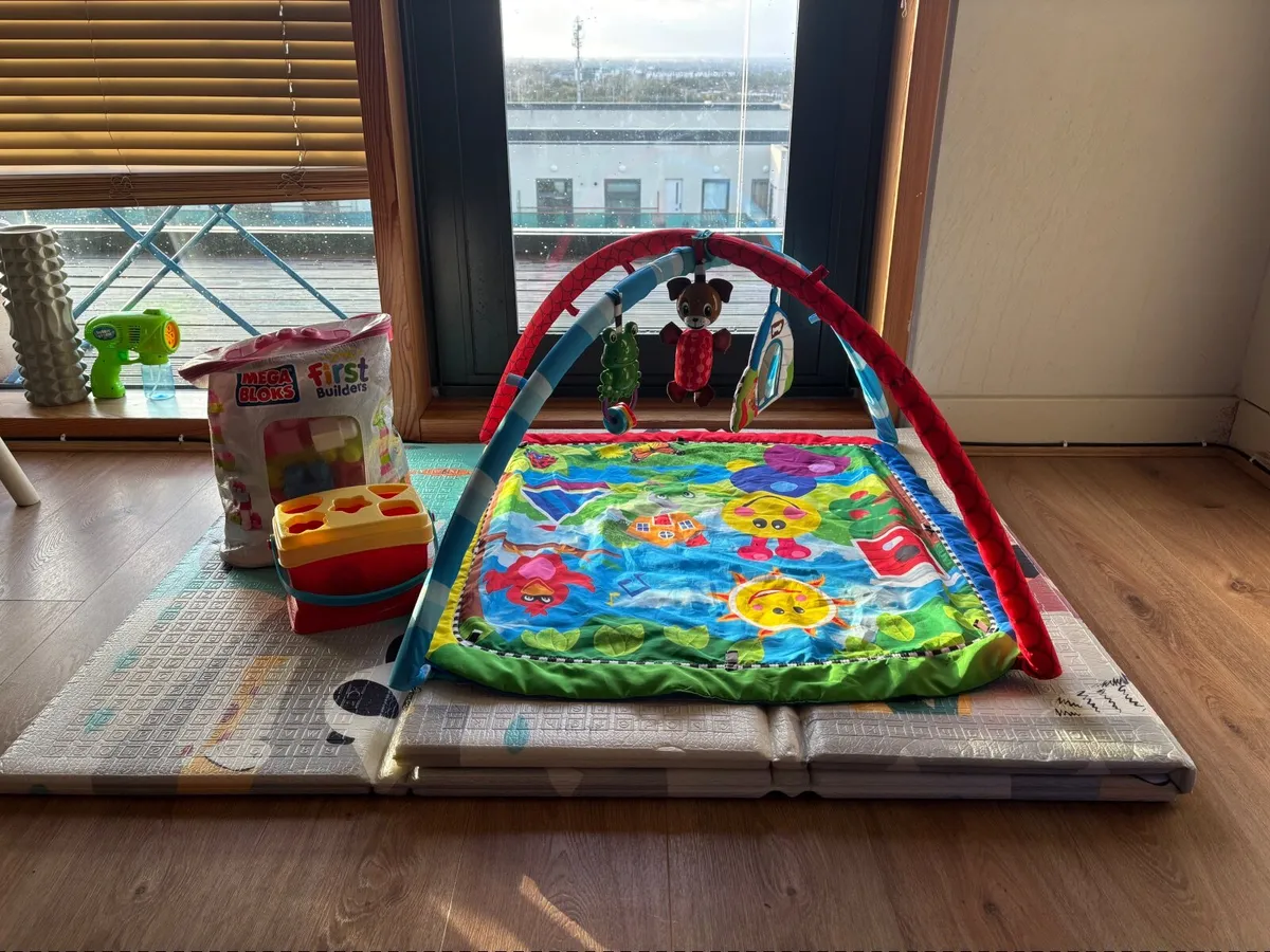 Play mat and toys