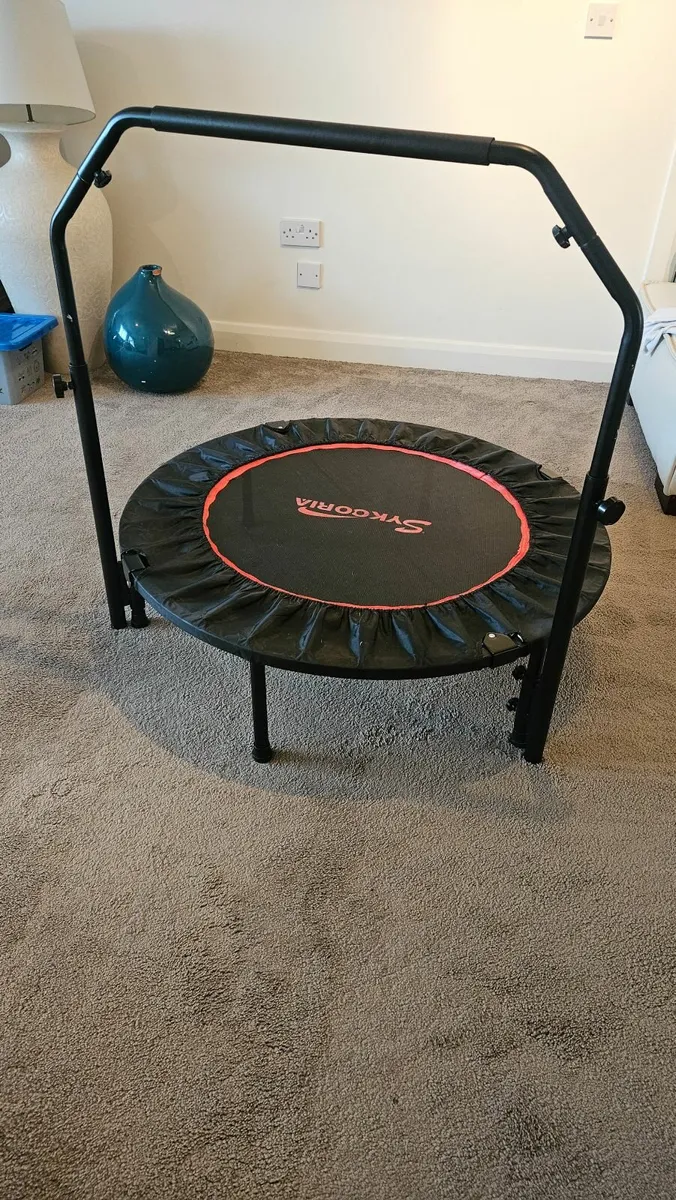 Trampoline - Image 1