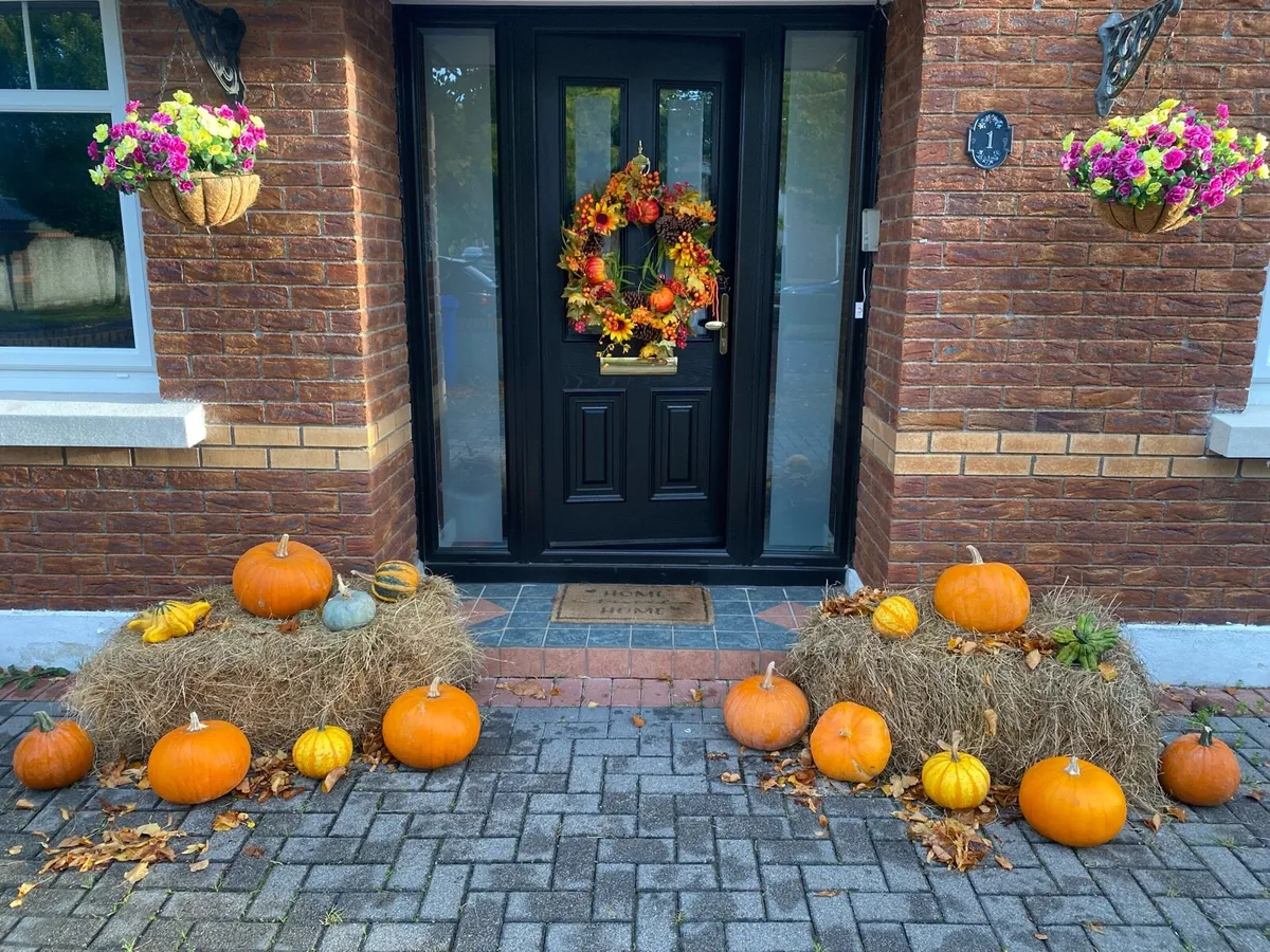 Pumpkin display - Image 1