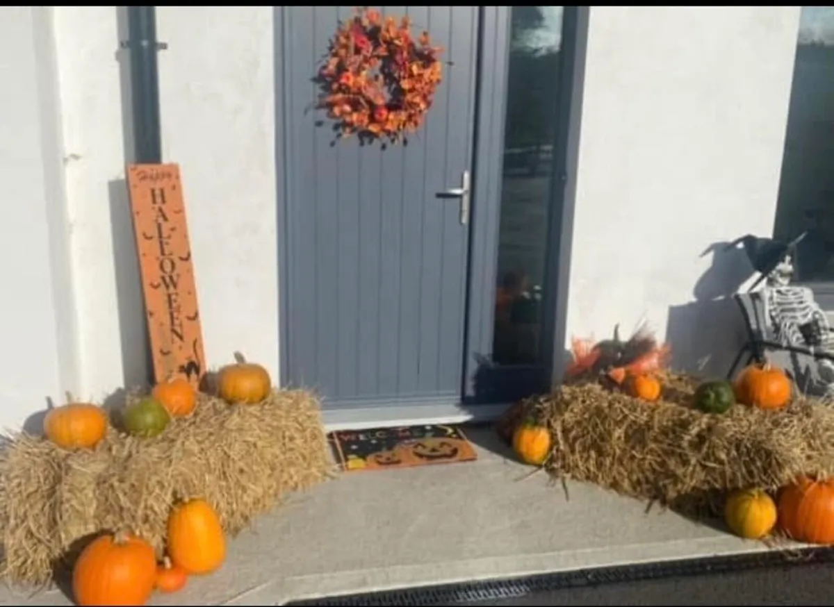 Pumpkin display - Image 2