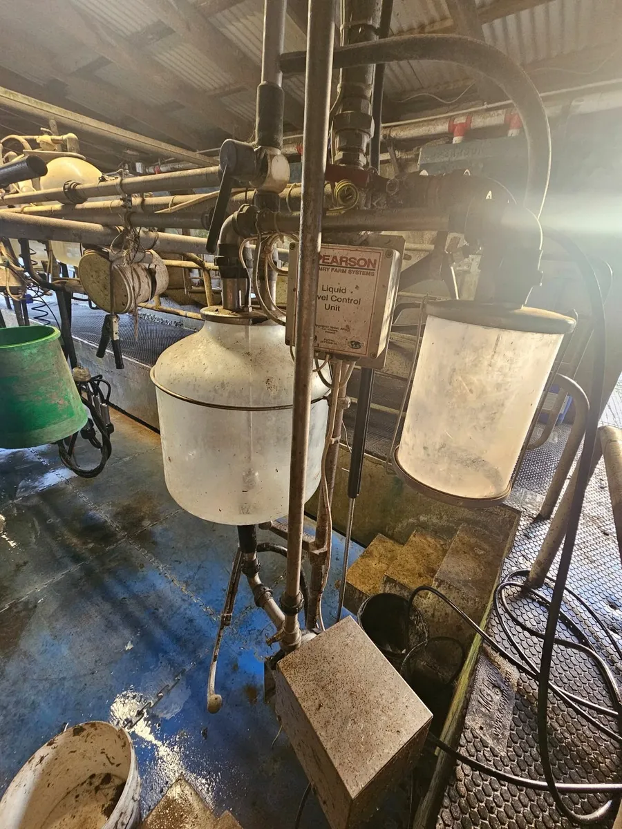 Milking Parlour - Image 4