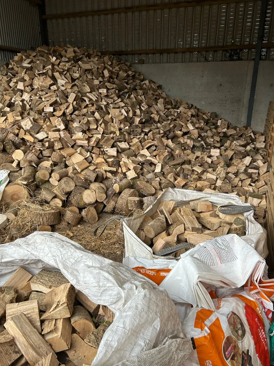 Firewood - Image 1