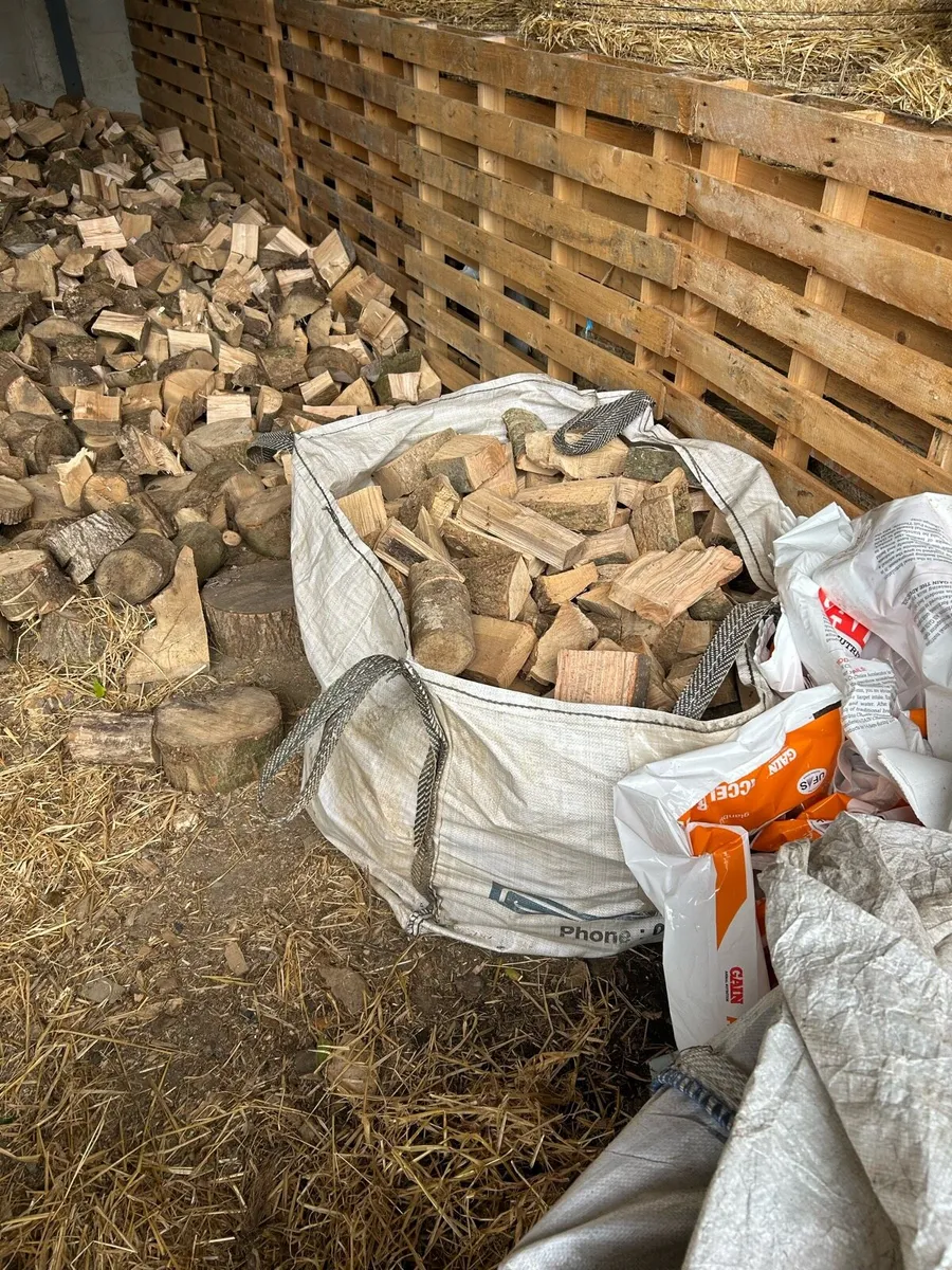 Firewood - Image 2