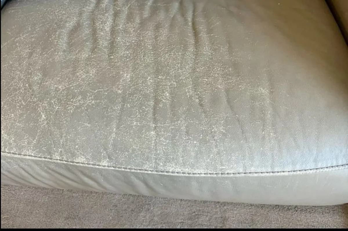 Free DFS Leather Sofa - Image 3