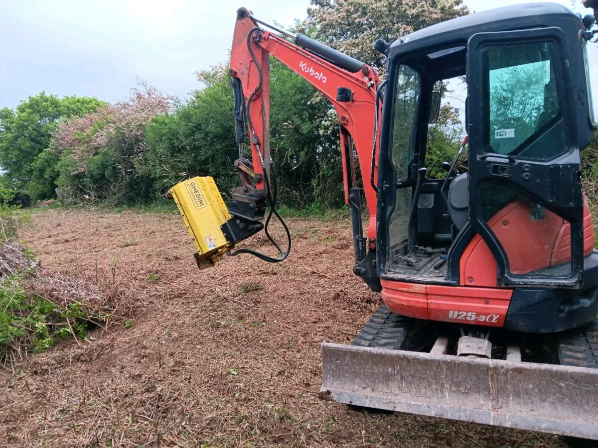 Mini Digger/Mulching - Image 2