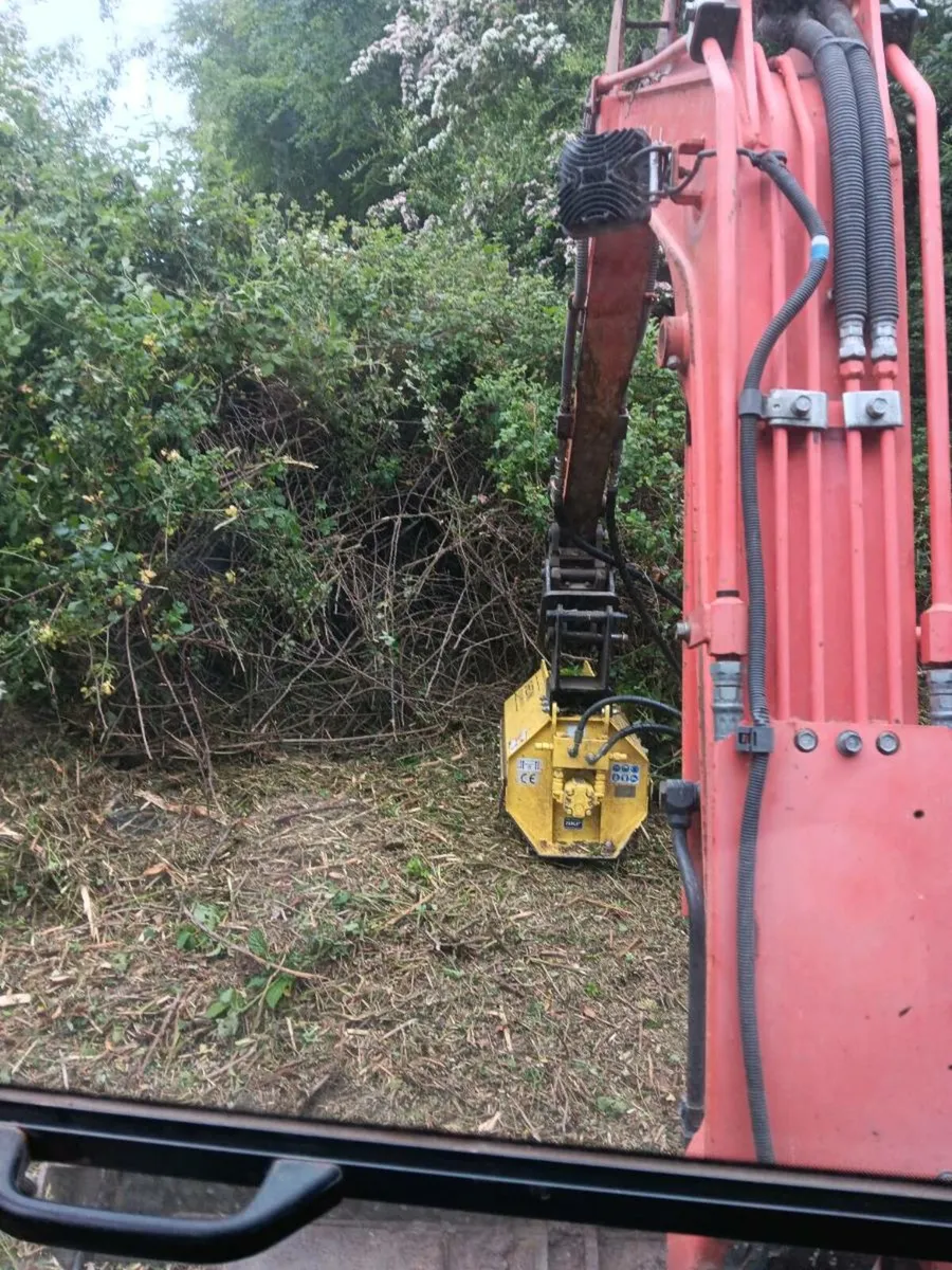 Mini Digger/Mulching - Image 4
