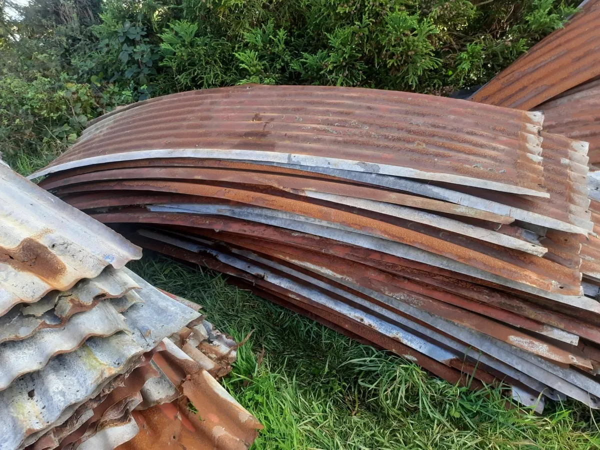 Old Galvanised Tin Sheets - Image 1